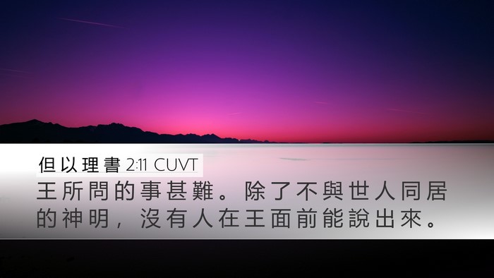 但 以 理 書 2:11 CUVT Bible Verse Image