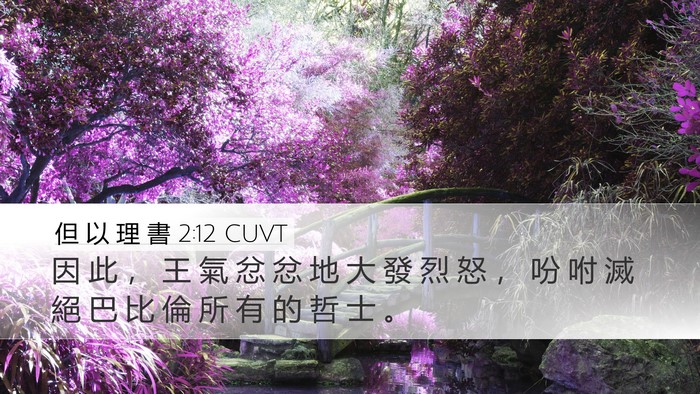 但 以 理 書 2:12 CUVT Bible Verse Image