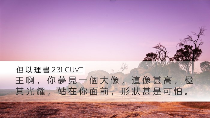 但 以 理 書 2:31 CUVT Desktop Wallpaper - 王 啊 ， 你 夢 見 一 個 大 像 ， 這 - Desktop Bible Verse Wallpaper