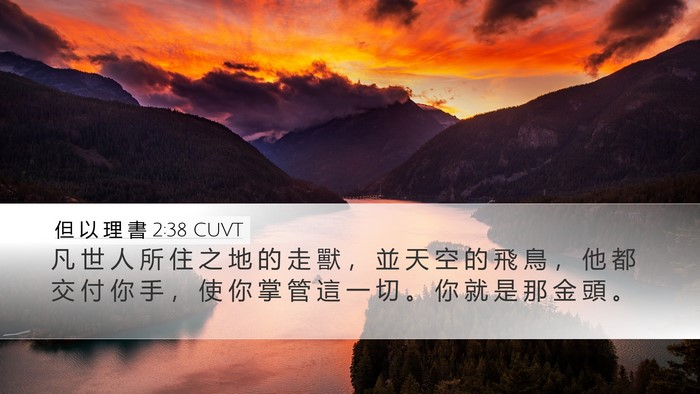 但 以 理 書 2:38 CUVT Bible Verse Image