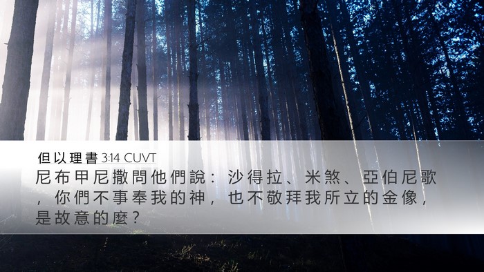 但 以 理 書 3:14 CUVT Desktop Wallpaper - 尼 布 甲 尼 撒 問 他 們 說 ： 沙 得 - Desktop Bible Verse Wallpaper