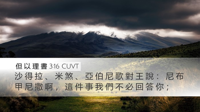 但 以 理 書 3:16 CUVT Bible Verse Image