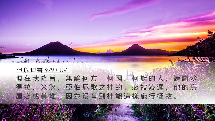 但 以 理 書 3:29 CUVT Bible Verse Image
