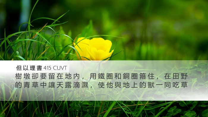 但 以 理 書 4:15 CUVT Bible Verse Image