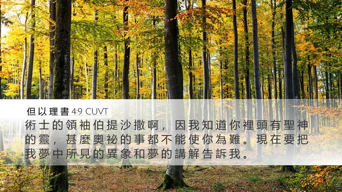 但 以 理 書 4:9 CUVT Bible Verse Image