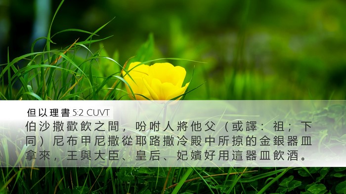 但 以 理 書 5:2 CUVT Bible Verse Image