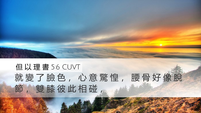 但 以 理 書 5:6 CUVT Bible Verse Image