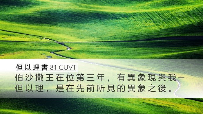 但 以 理 書 8:1 CUVT Bible Verse Image
