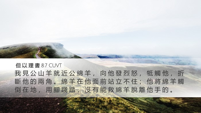 但 以 理 書 8:7 CUVT Bible Verse Image