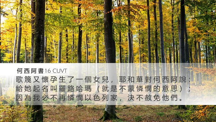 何 西 阿 書 1:6 CUVT Bible Verse Image