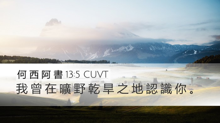 何 西 阿 書 13:5 CUVT Bible Verse Image