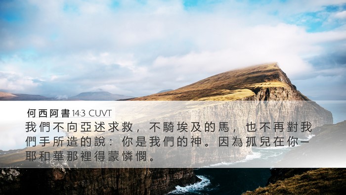 何 西 阿 書 14:3 CUVT Bible Verse Image