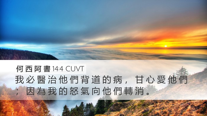 何 西 阿 書 14:4 CUVT Bible Verse Image