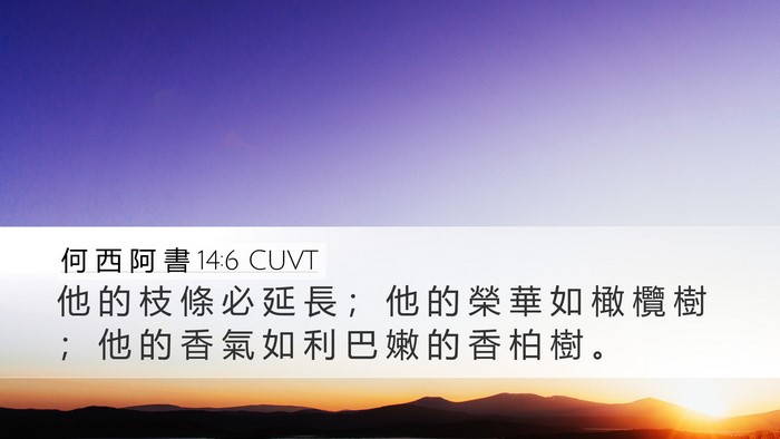 何 西 阿 書 14:6 CUVT Bible Verse Image