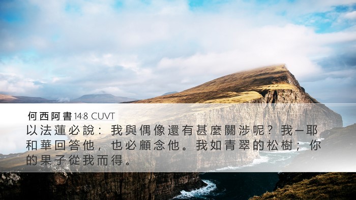 何 西 阿 書 14:8 CUVT Bible Verse Image