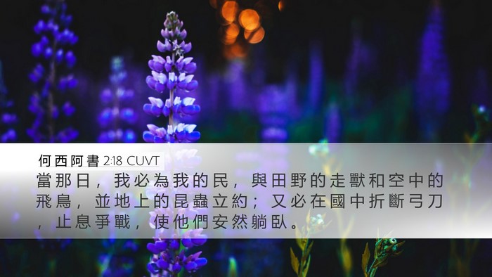 何 西 阿 書 2:18 CUVT Bible Verse Image