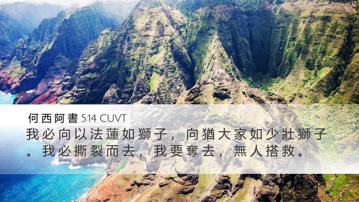 何 西 阿 書 5:14 CUVT Bible Verse Image