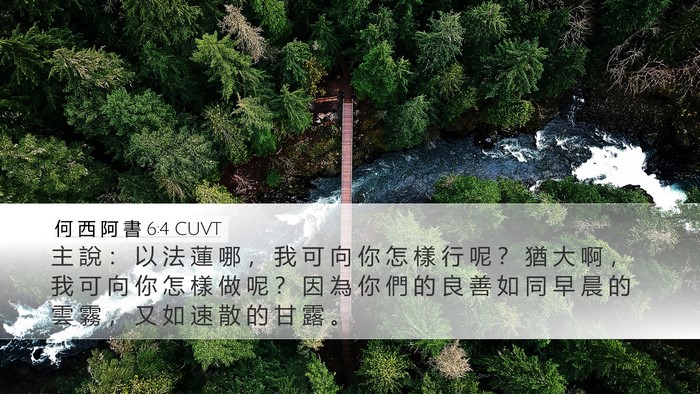 何 西 阿 書 6:4 CUVT Bible Verse Image
