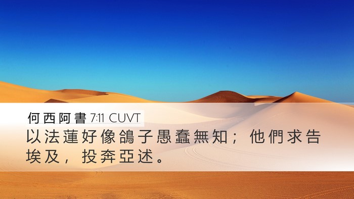 何 西 阿 書 7:11 CUVT Bible Verse Image