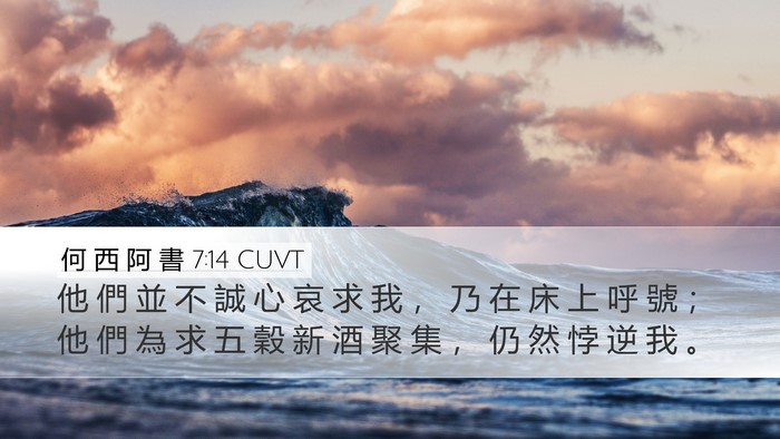 何 西 阿 書 7:14 CUVT Bible Verse Image