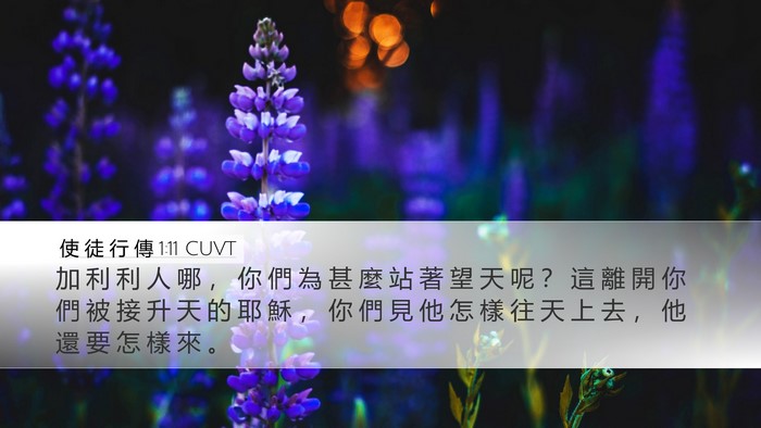 使 徒 行 傳 1:11 CUVT Bible Verse Image