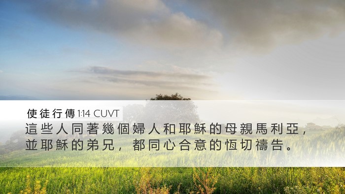 使 徒 行 傳 1:14 CUVT Bible Verse Image