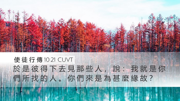 使 徒 行 傳 10:21 CUVT Desktop Wallpaper - 於 是 彼 得 下 去 見 那 些 人 ， 說 - Desktop Bible Verse Wallpaper
