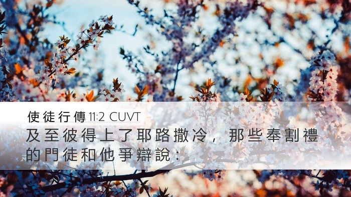 使 徒 行 傳 11:2 CUVT Desktop Wallpaper - 及 至 彼 得 上 了 耶 路 撒 冷 ， 那 - Desktop Bible Verse Wallpaper