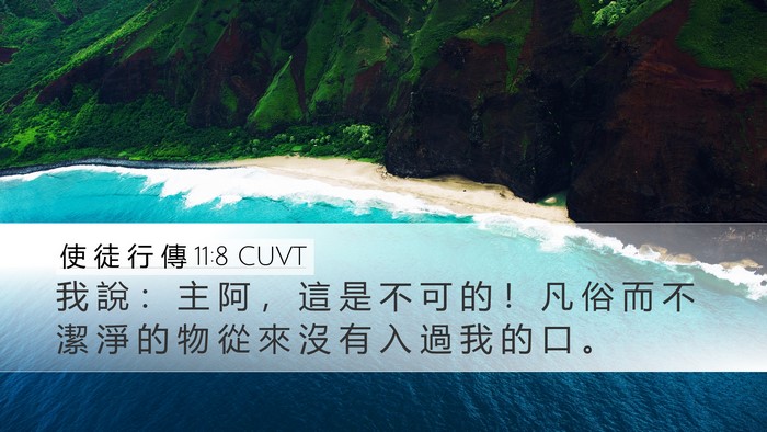 使 徒 行 傳 11:8 CUVT Desktop Wallpaper - 我 說 ： 主 阿 ， 這 是 不 可 的 ！ - Desktop Bible Verse Wallpaper
