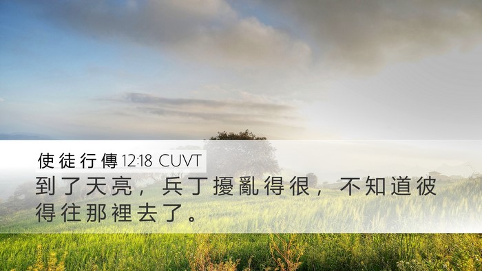 使 徒 行 傳 12:18 CUVT Desktop Wallpaper - 到 了 天 亮 ， 兵 丁 擾 亂 得 很 ， - Desktop Bible Verse Wallpaper