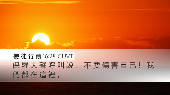 使 徒 行 傳 16:28 CUVT Desktop Wallpaper - 保 羅 大 聲 呼 叫 說 ： 不 要 傷 害 - Desktop Bible Verse Wallpaper