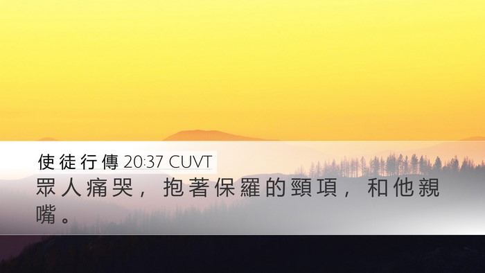 使 徒 行 傳 20:37 CUVT Bible Verse Image