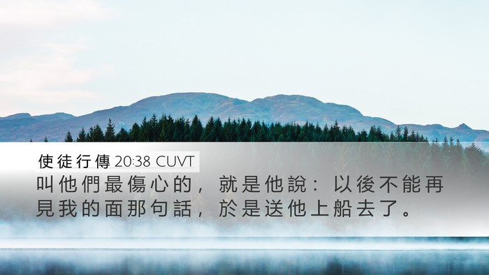 使 徒 行 傳 20:38 CUVT Bible Verse Image