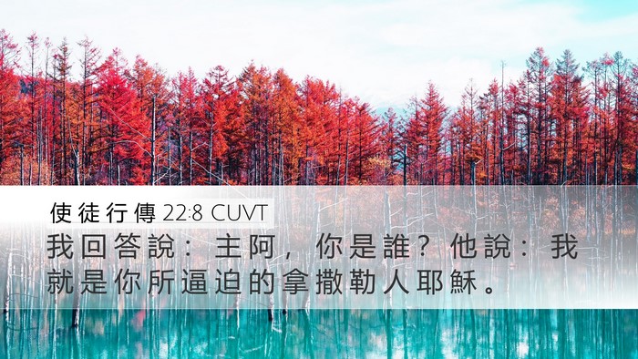 使 徒 行 傳 22:8 CUVT Desktop Wallpaper - 我 回 答 說 ： 主 阿 ， 你 是 誰 ？ - Desktop Bible Verse Wallpaper