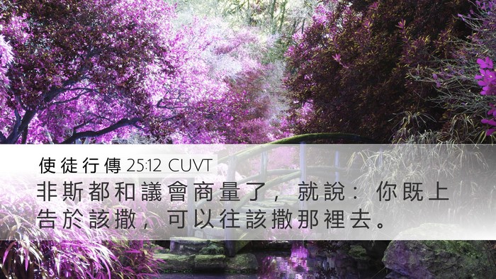使 徒 行 傳 25:12 CUVT Desktop Wallpaper - 非 斯 都 和 議 會 商 量 了 ， 就 說 - Desktop Bible Verse Wallpaper