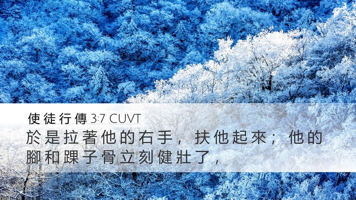 使 徒 行 傳 3:7 CUVT Desktop Wallpaper - 於 是 拉 著 他 的 右 手 ， 扶 他 起 - Desktop Bible Verse Wallpaper