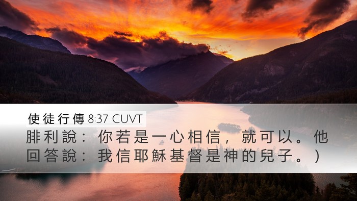 使 徒 行 傳 8:37 CUVT Desktop Wallpaper - 腓 利 說 ： 你 若 是 一 心 相 信 ， - Desktop Bible Verse Wallpaper