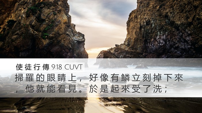 使 徒 行 傳 9:18 CUVT Desktop Wallpaper - 掃 羅 的 眼 睛 上 ， 好 像 有 鱗 立 - Desktop Bible Verse Wallpaper