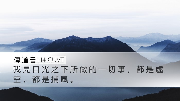 傳 道 書 1:14 CUVT Bible Verse Image