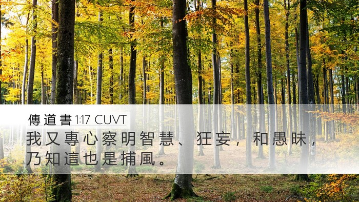 傳 道 書 1:17 CUVT Bible Verse Image