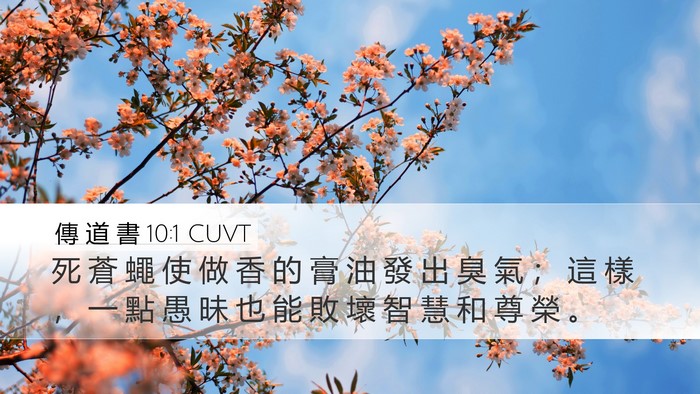 傳 道 書 10:1 CUVT Bible Verse Image
