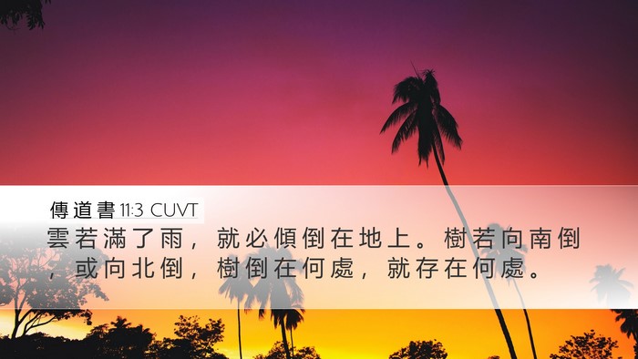 傳 道 書 11:3 CUVT Desktop Wallpaper - 雲 若 滿 了 雨 ， 就 必 傾 倒 在 地 - Desktop Bible Verse Wallpaper