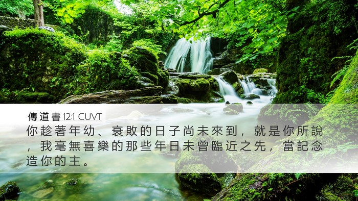 傳 道 書 12:1 CUVT Bible Verse Image