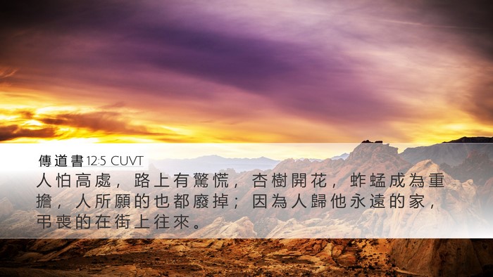 傳 道 書 12:5 CUVT Bible Verse Image