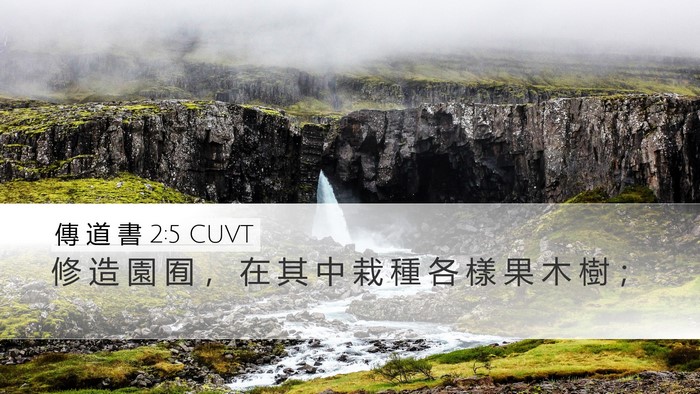 傳 道 書 2:5 CUVT Desktop Wallpaper - 修 造 園 囿 ， 在 其 中 栽 種 各 樣 - Desktop Bible Verse Wallpaper