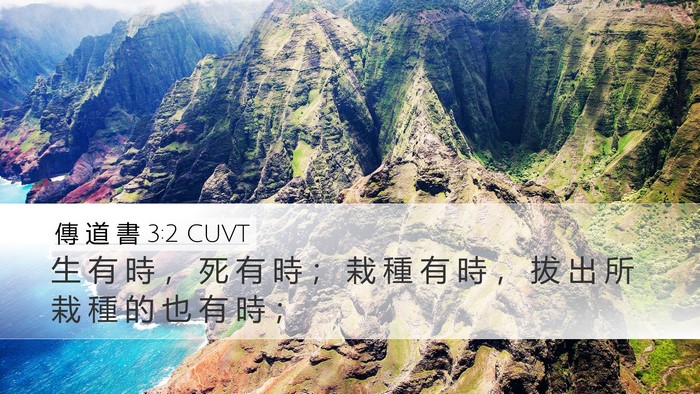 傳 道 書 3:2 CUVT Desktop Wallpaper - 生 有 時 ， 死 有 時 ； 栽 種 有 時 - Desktop Bible Verse Wallpaper