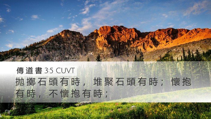 傳 道 書 3:5 CUVT Desktop Wallpaper - 拋 擲 石 頭 有 時 ， 堆 聚 石 頭 有 - Desktop Bible Verse Wallpaper
