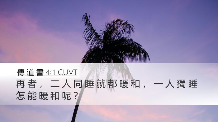 傳 道 書 4:11 CUVT Desktop Wallpaper - 再 者 ， 二 人 同 睡 就 都 暖 和 ， - Desktop Bible Verse Wallpaper