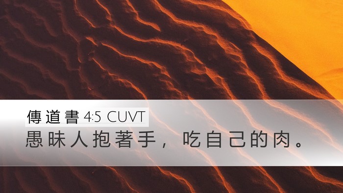 傳 道 書 4:5 CUVT Desktop Wallpaper - 愚 昧 人 抱 著 手 ， 吃 自 己 的 肉 - Desktop Bible Verse Wallpaper