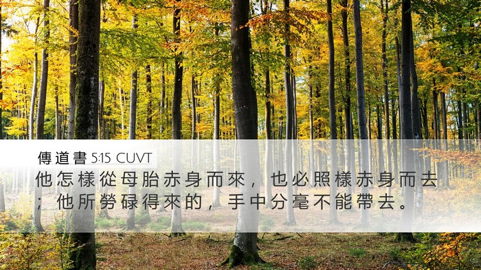 傳 道 書 5:15 CUVT Bible Verse Image